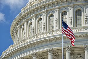 Washington DC Capital detail with american flag